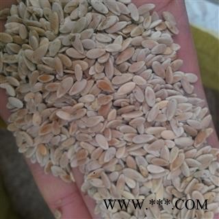 甜瓜子 甜瓜籽 统产地直销  产地 山东省图2