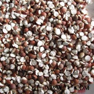 【录建药业】芡实 对半开 产地 广西壮族自治区玉林市市辖区图4