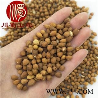 郁李仁无硫选货散装1公斤起批产地直供川李仁肉蜀山农中药材批发图2