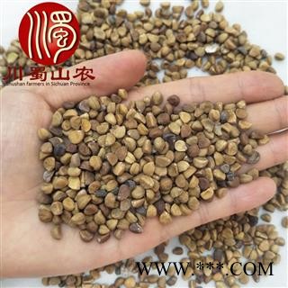 牵牛子白丑无硫选货散装1公斤起批产地直供川蜀山农中药材批发图2
