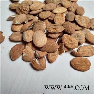 桃仁 山东桃仁 统货 产地 山东省图2