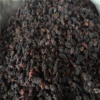 桑葚子 桑椹统货药用抓方 产地 河南省 凯捷中药
