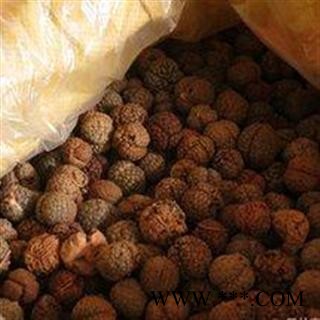 【录建药业】草豆蔻 草豆蔻 产地 海南省图3