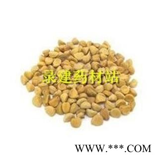 【录建药业】牵牛子 白丑 产地 河南省图3
