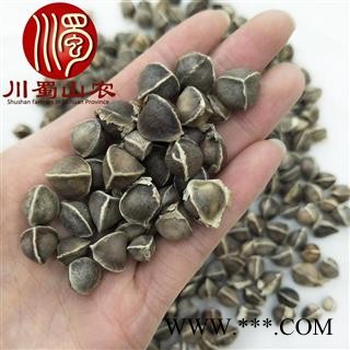 辣木籽选货无边片无硫散装1公斤起批产地直供辣木子川蜀山农中药材批发图2