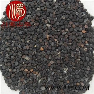 牵牛子黑丑选货散装1公斤起批产地直供川蜀山农中药材批发图4