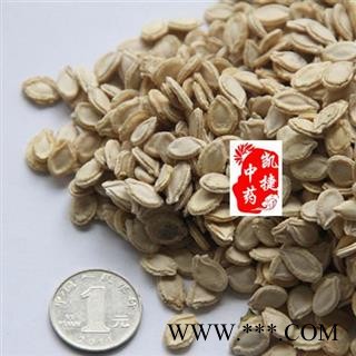 冬瓜子 双边冬瓜子统货 产地 河北省图2