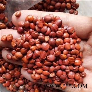 酸枣仁 酸枣仁95货 产地 河北省图2