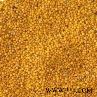 黄芥子 统 产地 四川省图2