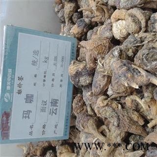 玛咖 选货 产地 云南省丽江市永胜县