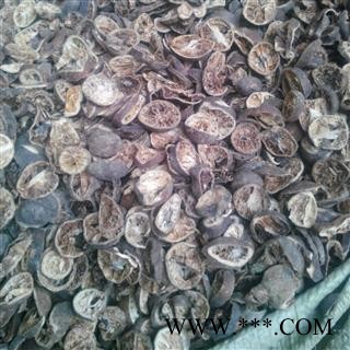 【录建药业】青皮 大青皮 产地 江西省宜春市铜鼓县图3