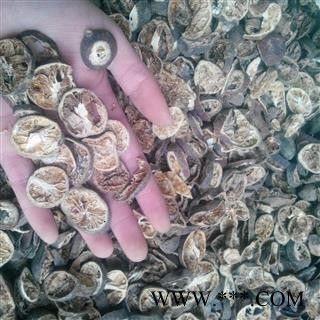 【录建药业】青皮 大青皮 产地 江西省宜春市铜鼓县图2