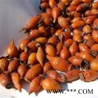 【录建药业】金樱子 金樱子个 产地 江西省图2