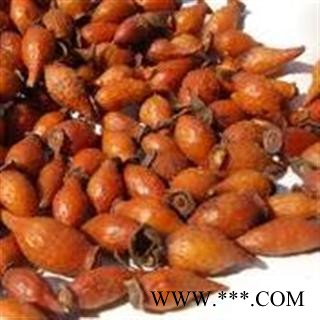 【录建药业】金樱子 金樱子个 产地 江西省图3