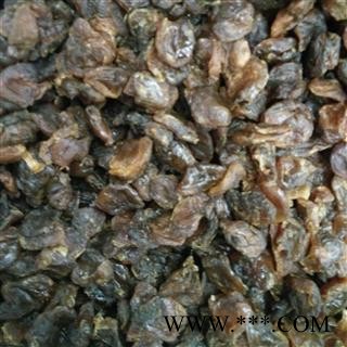 荔枝核 荔枝肉 产地 广东省图2