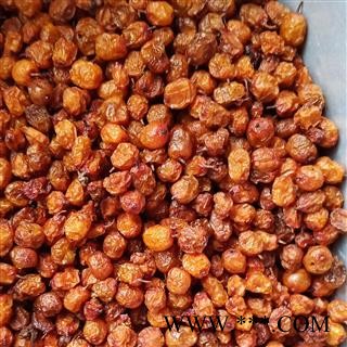 沙棘 沙棘果 新疆沙棘 精品沙棘果 产地 新疆维吾尔自治区图2