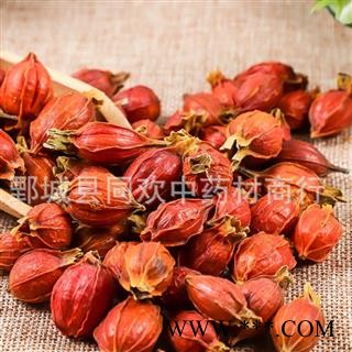 【江西小红栀子】@【同欢药材】中药材批发供应  规格齐全 量大从优 产地 江西省图2