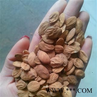 【录建药业】桃仁 带皮扁桃仁 产地 安徽省图4