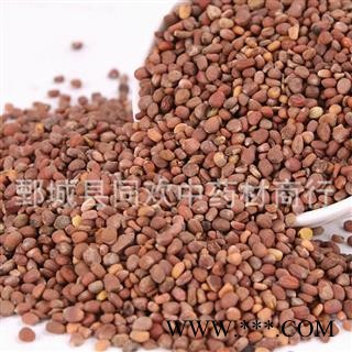 【莱菔子】@【同欢药材】中药材批发供应 规格齐全 量大从优 产地 山东省图2