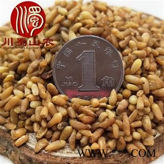 柏子仁无硫选货散装1公斤起批批发产地直供川蜀山农中药材批发图3