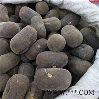 化橘红 大个 产地 广东省图2