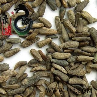 【录建药业】大力子 牛蒡子 选 产地 山东省图1
