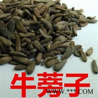 【录建药业】大力子 牛蒡子 选 产地 山东省图3