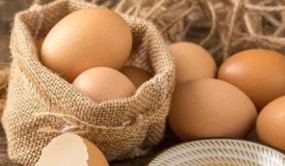 以“春”补春，春季食补多吃蛋