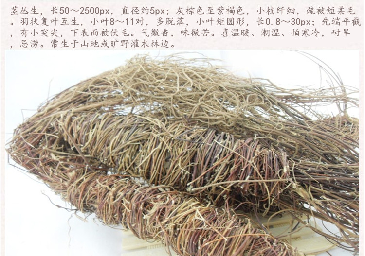 鸡骨草4.jpg