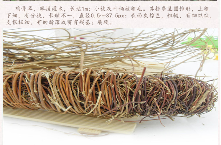 鸡骨草3.jpg