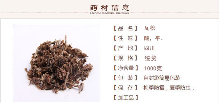 瓦松1.jpg