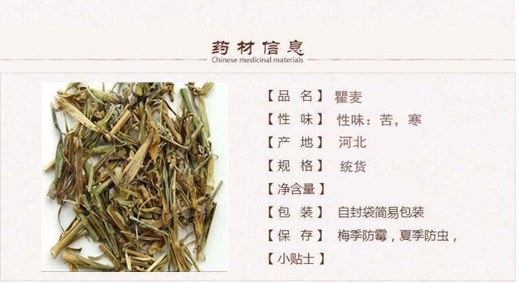 瞿麦1.jpg