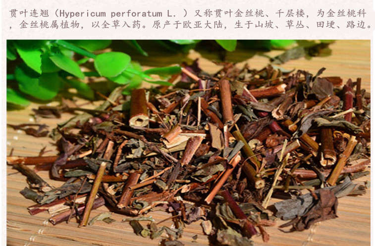 贯叶连翘3.jpg