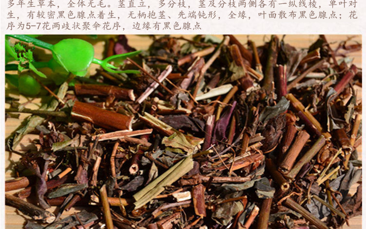 贯叶连翘4.jpg