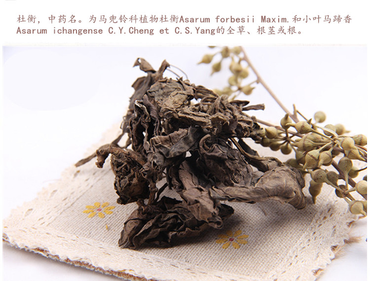 杜衡3.jpg
