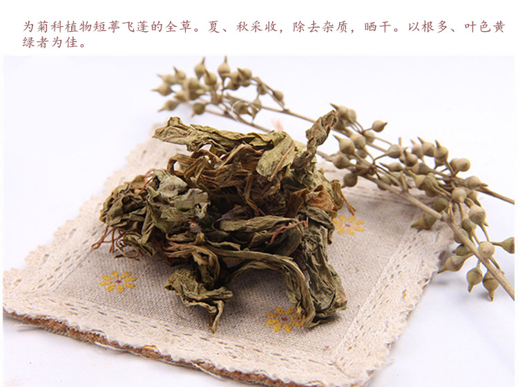 灯盏细辛5.jpg