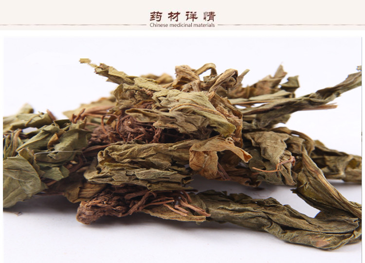 灯盏细辛2.jpg