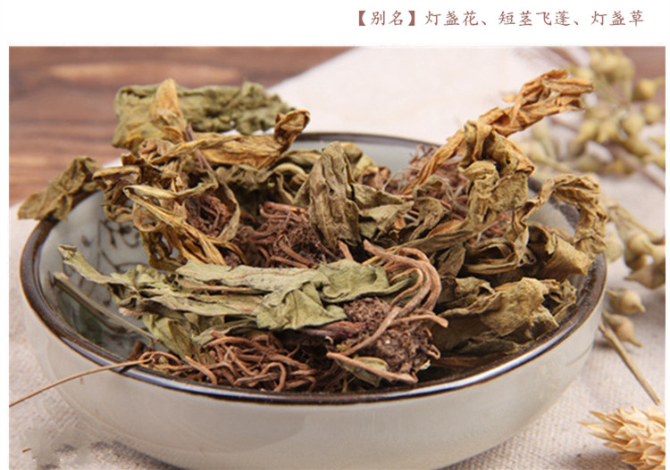 灯盏细辛3.jpg
