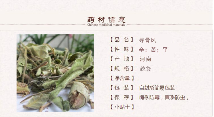 寻骨风1.jpg