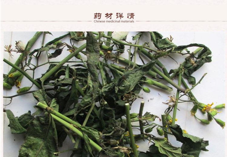 寻骨风2.jpg