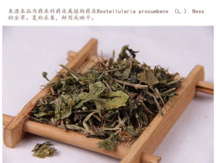 爵床4.jpg
