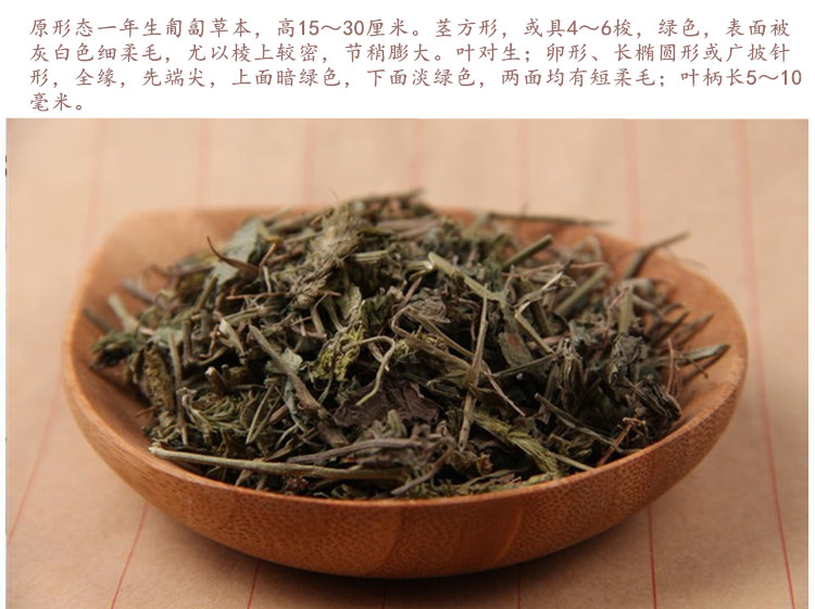 爵床5.jpg