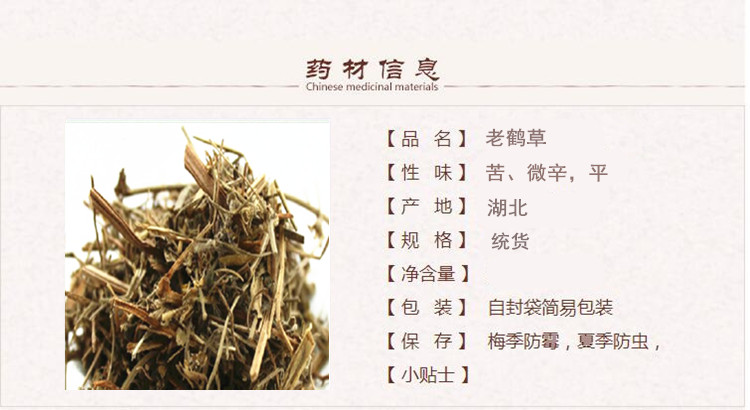 老鹤草1.jpg