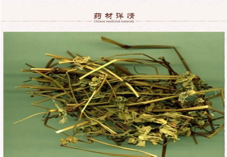 老鹤草2.jpg