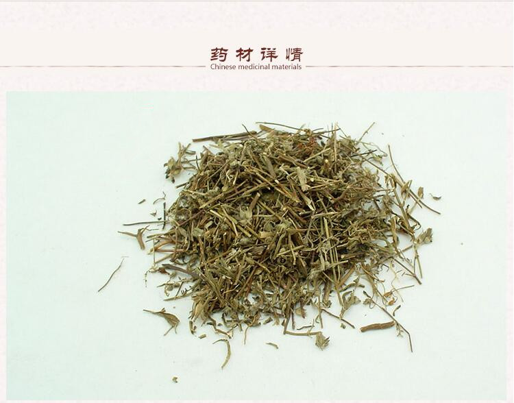 香薷2.jpg