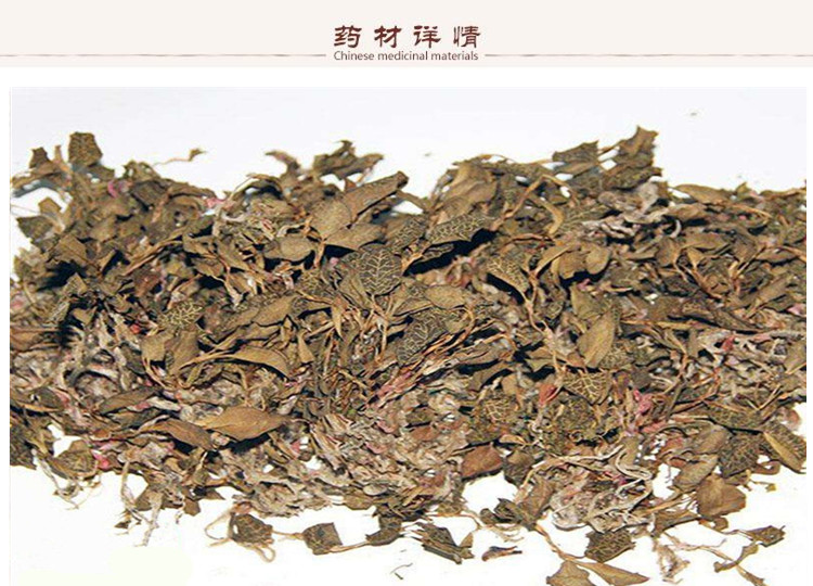 金线兰2.jpg
