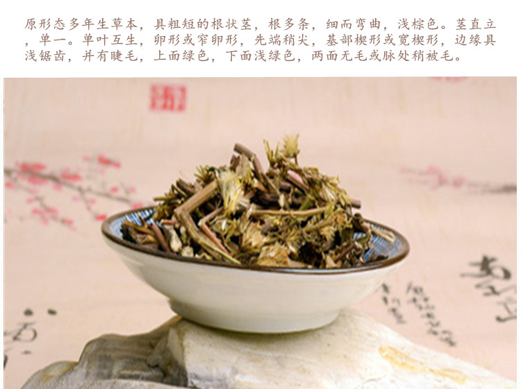 一枝黄花5.jpg