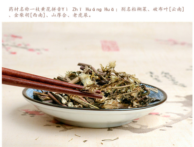 一枝黄花3.jpg
