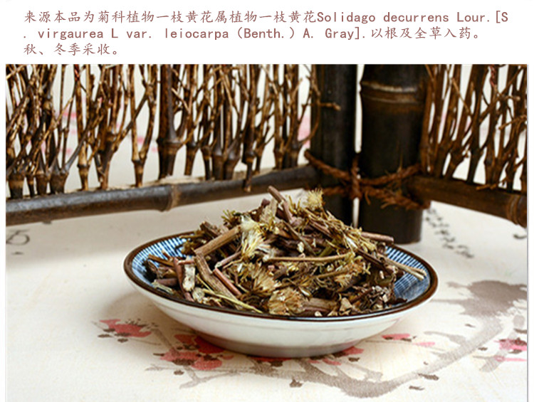 一枝黄花4.jpg