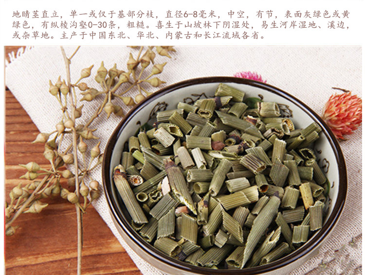 木贼4.jpg